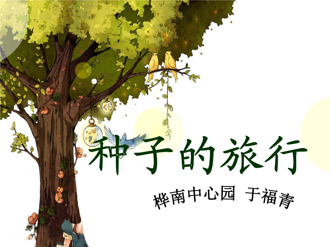 种子的旅行——辽师版中班科学活动课件设计